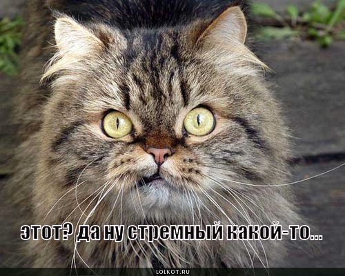 этот?
