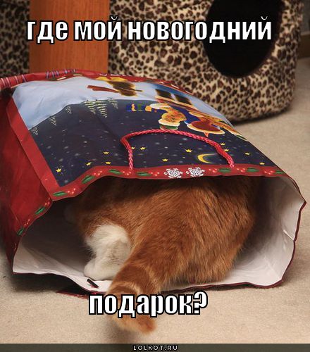 где мой подарок?