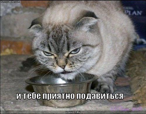 и тебе приятно 