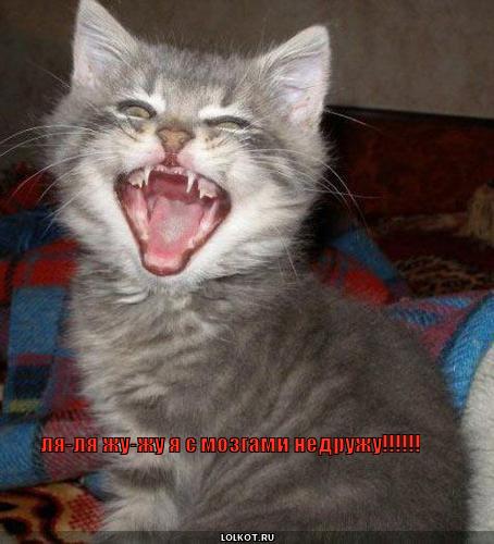 ля-ля жу-жу 