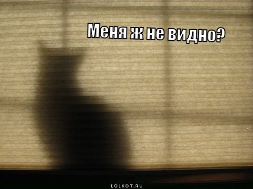 меня ж не видно? 