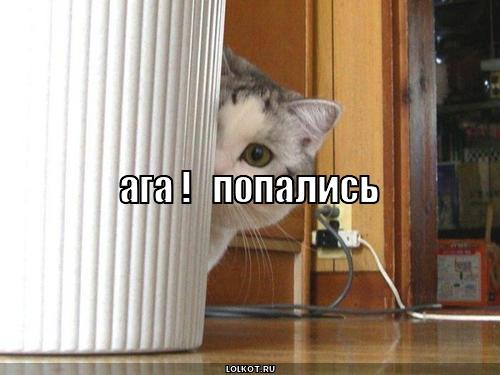  попались
