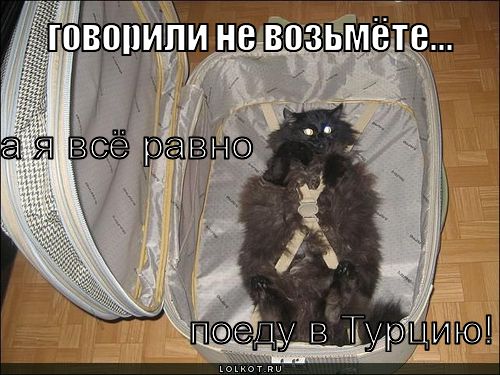 поеду в турцию