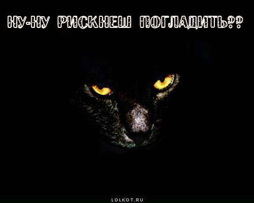 рискнеш погладить??