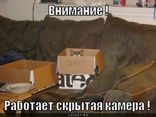скрытая камера