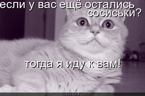 у вас ещё остались сосиськи?