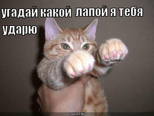 угадай