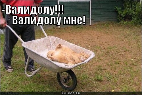 валидолу...
