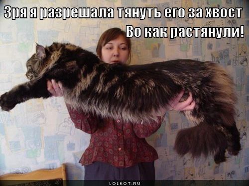во как растянули!