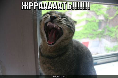 жррааааать!!!!!!!