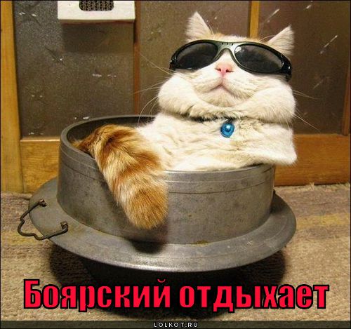 боярский отдыхает