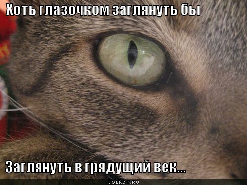 хоть глазочком