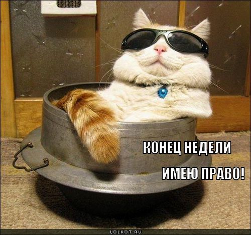 конец недели