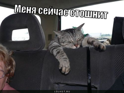 меня сейчас стошнит