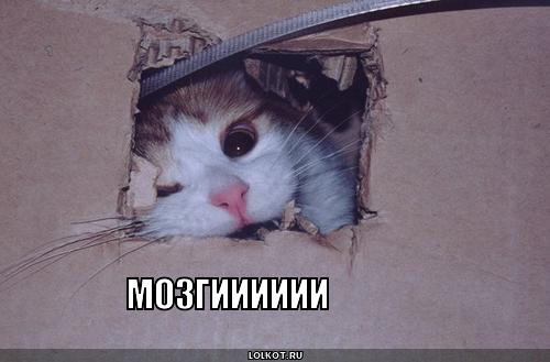 мозгииииии