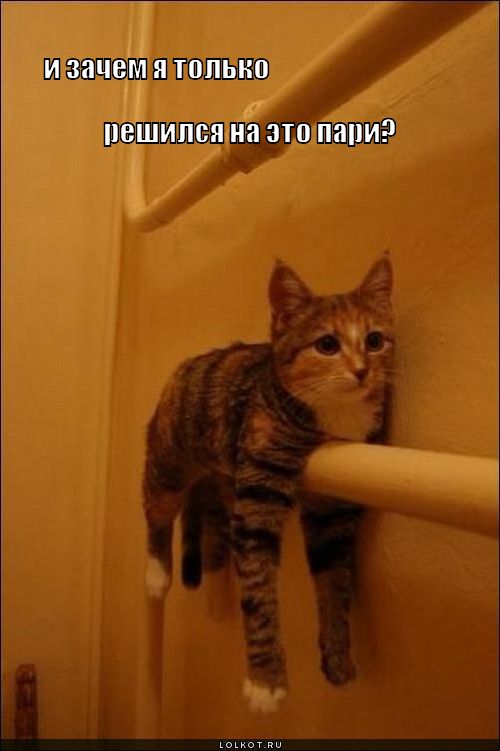 пари