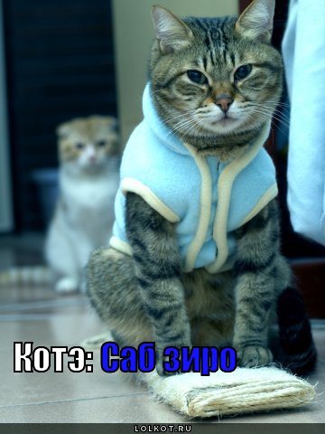 саб зиро