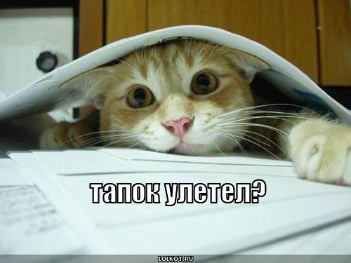 тапок улетел? 