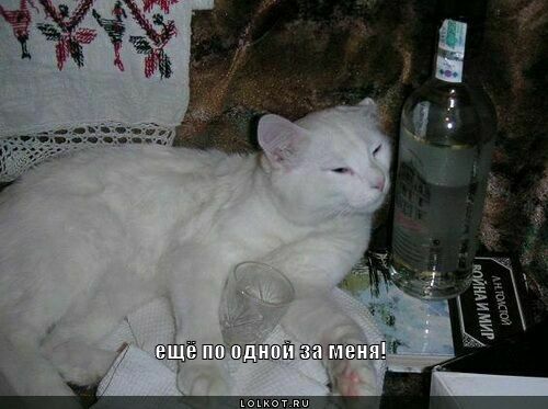 ещё по одной 