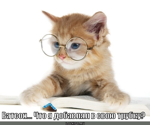 что я добавлял?