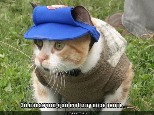 дай мобилу позвонить...