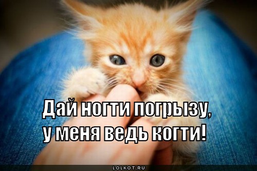 дай ногти