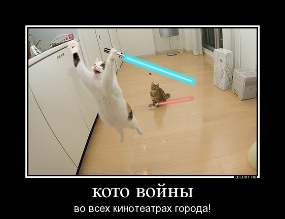 кото войны