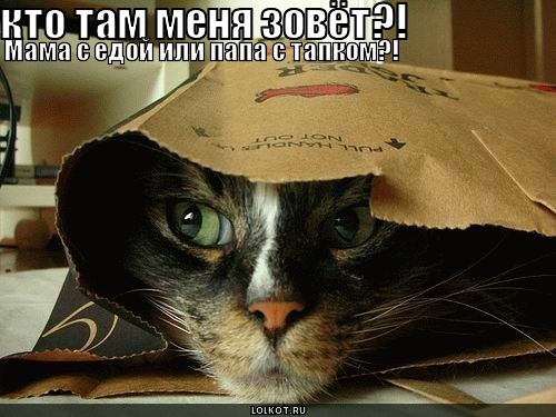 кто меня зовёт?!