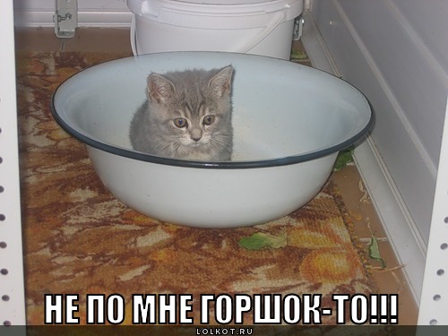 не по мне горшок!