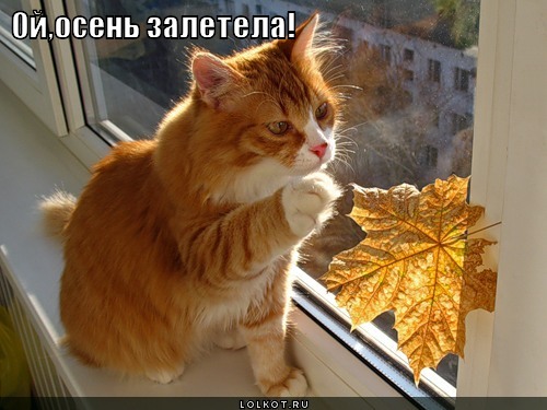 ой, осень залетела!