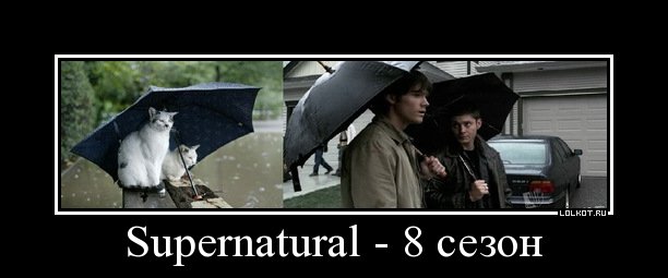 supernatural - 8 сезон