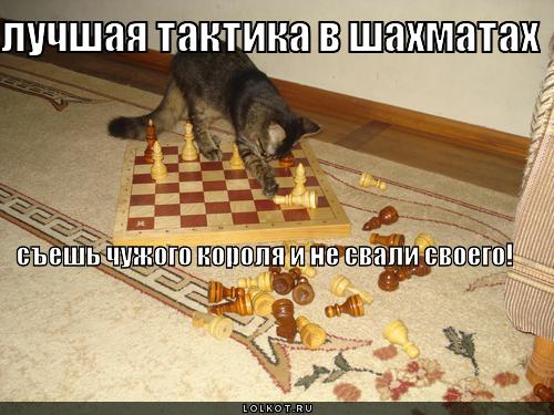тактика в шахматах