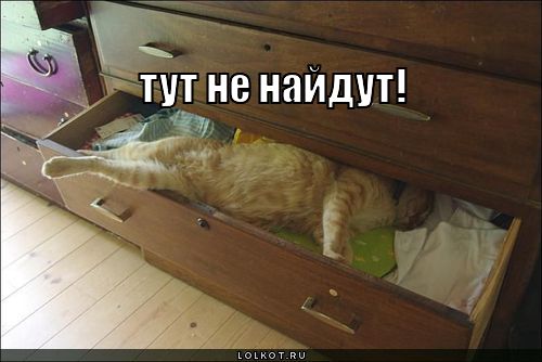 тут не найдут!