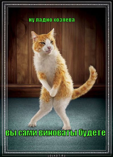 вы сами виноваты будете