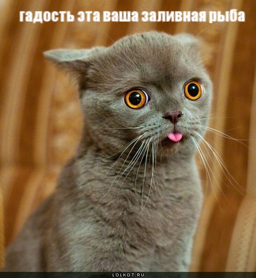заливная рыба