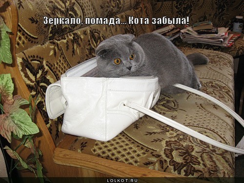 зеркало, помада... 