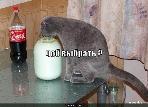 чоб выбрать ?