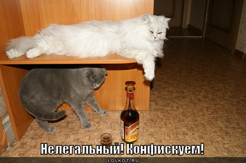 конфискуем!