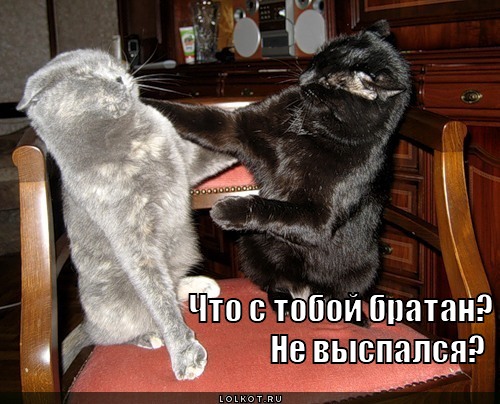 не выспался?