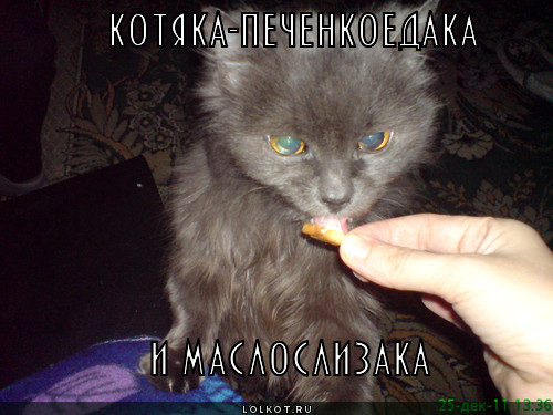 печенкоедака