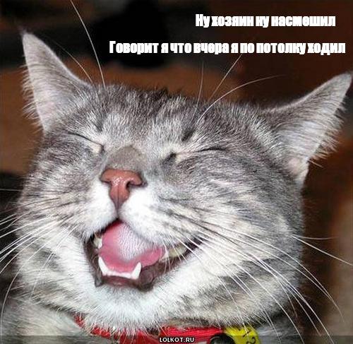 по потолку ходил