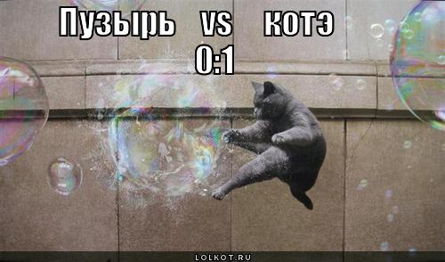 пузырь vs  котэ