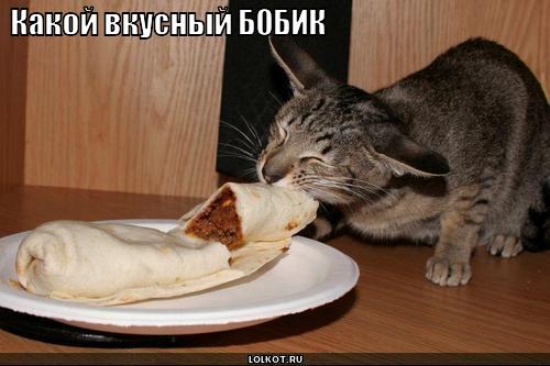 вкусный бобик