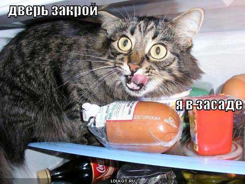 я в засаде