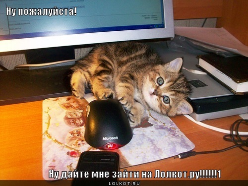 дайте зайти
