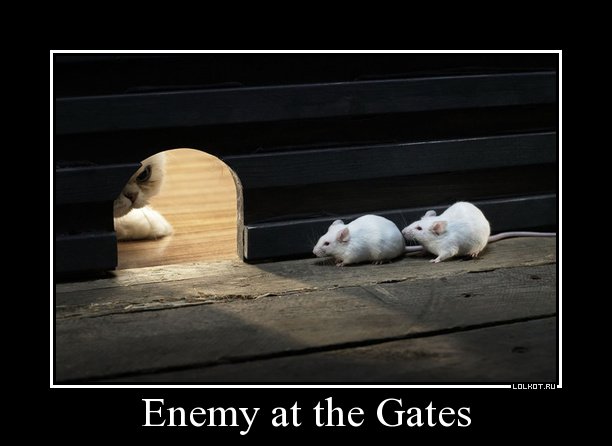 enemy at the gates