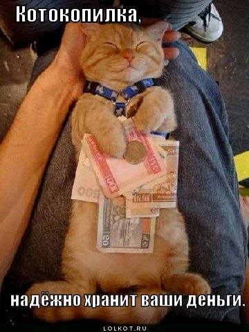 котокопилка