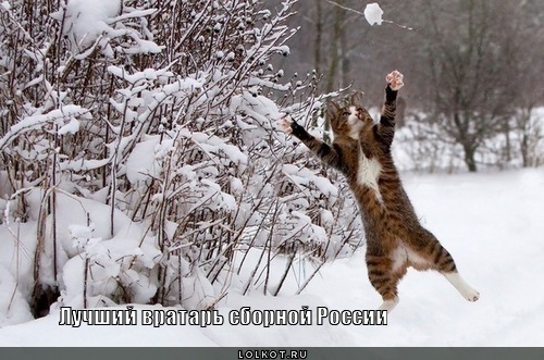 лучший вратарь
