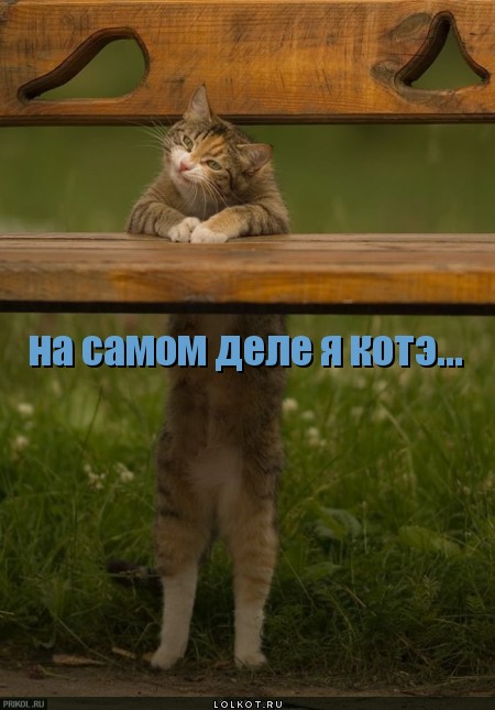 на самом деле
