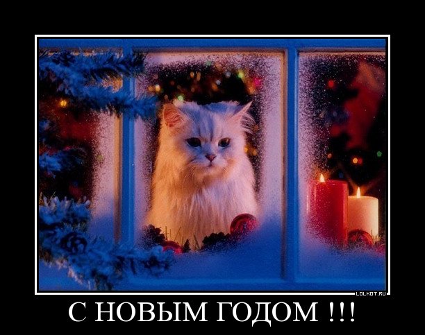 поздравление